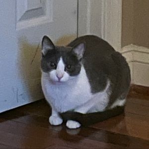 Meet your Posher, Daniel